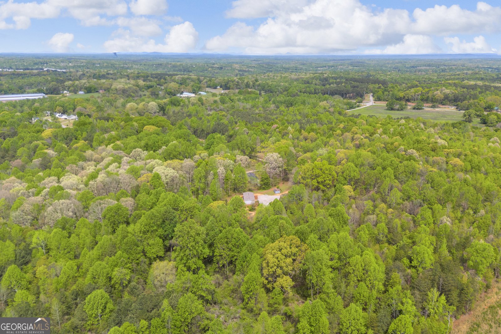 230 Tom Yarbrough Road Maysville - Photo 55