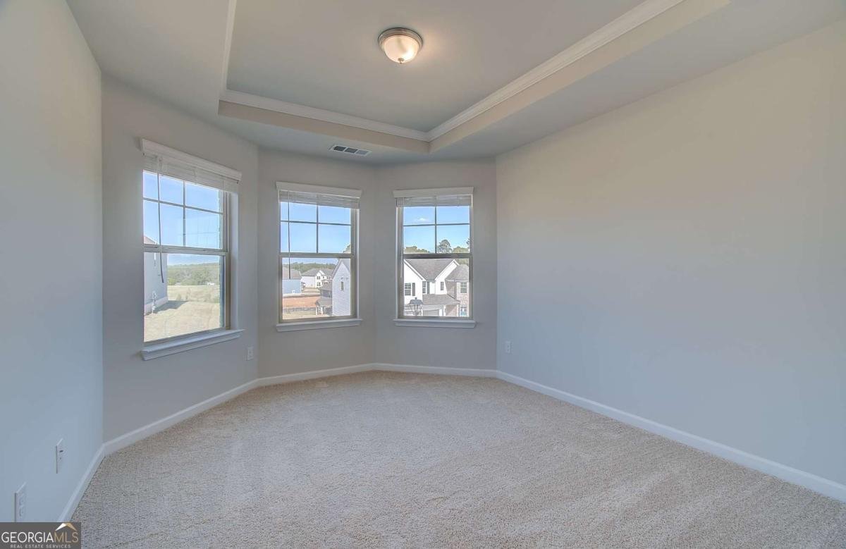 178 Buffalo Trace Stockbridge - Photo 17