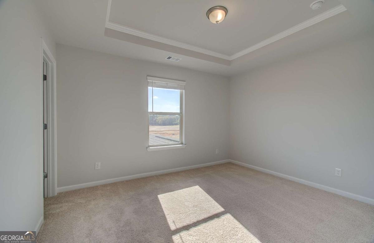 178 Buffalo Trace Stockbridge - Photo 19