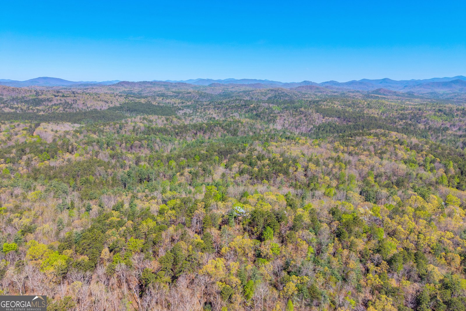 108 Dodge Lane Lakemont - Photo 107