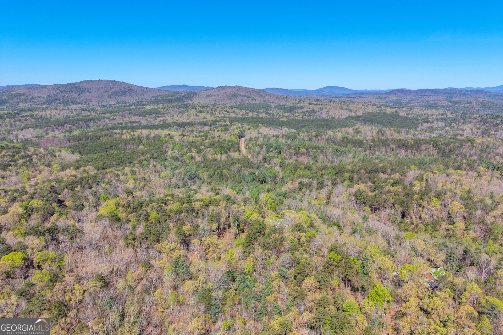 108 Dodge Lane Lakemont - Photo 109