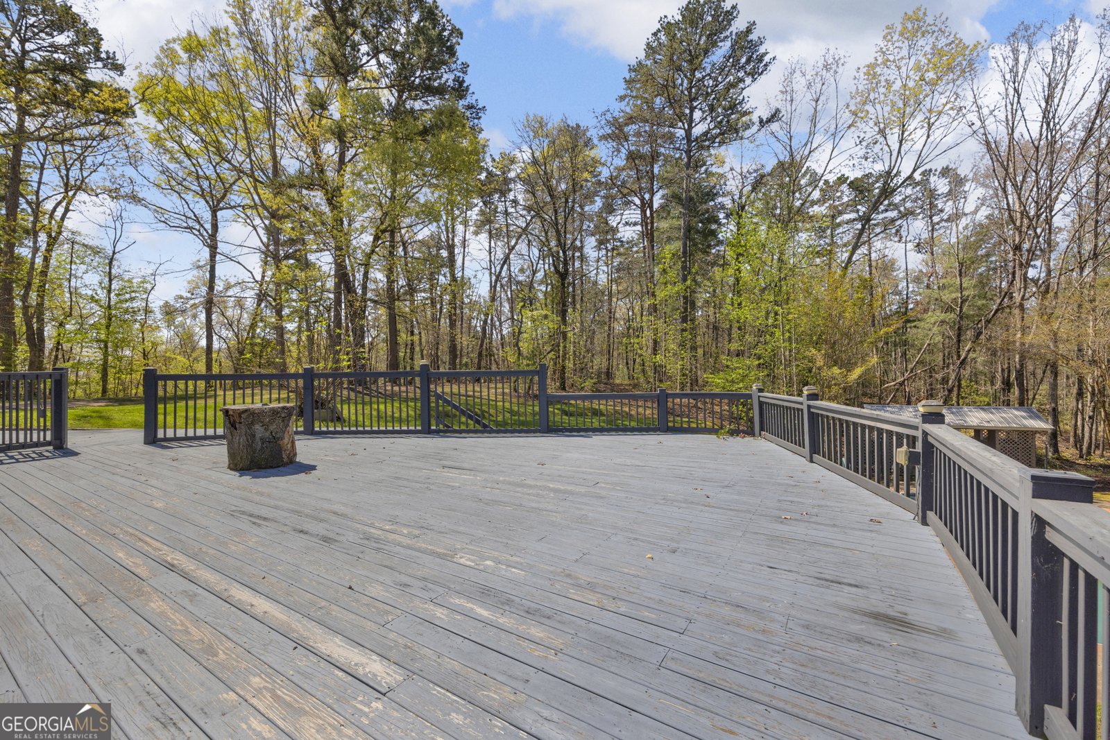 108 Dodge Lane Lakemont - Photo 79