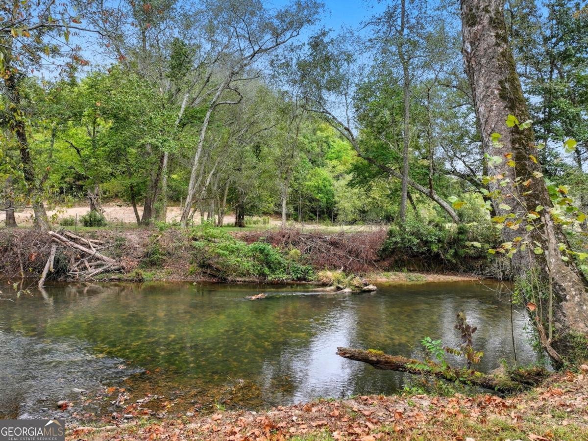 418 Cartecay River Run Ellijay - Photo 23