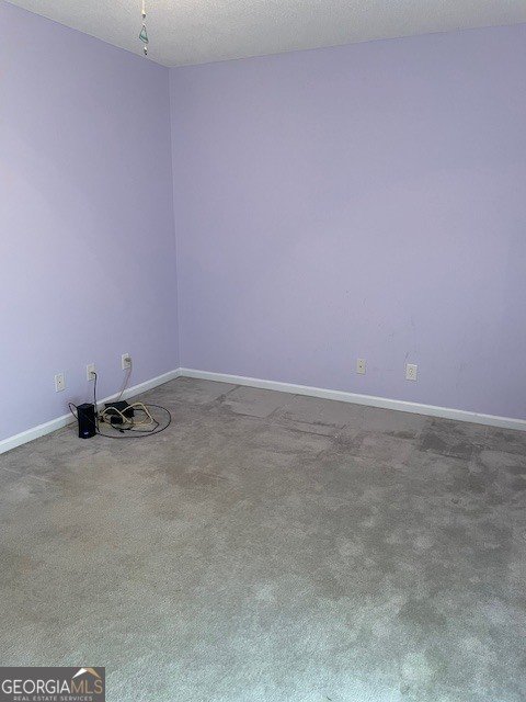 1316 Lake Forest Lane McDonough - Photo 22