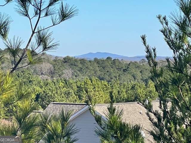 419 Canyon Creek Landing Canton - Photo 38