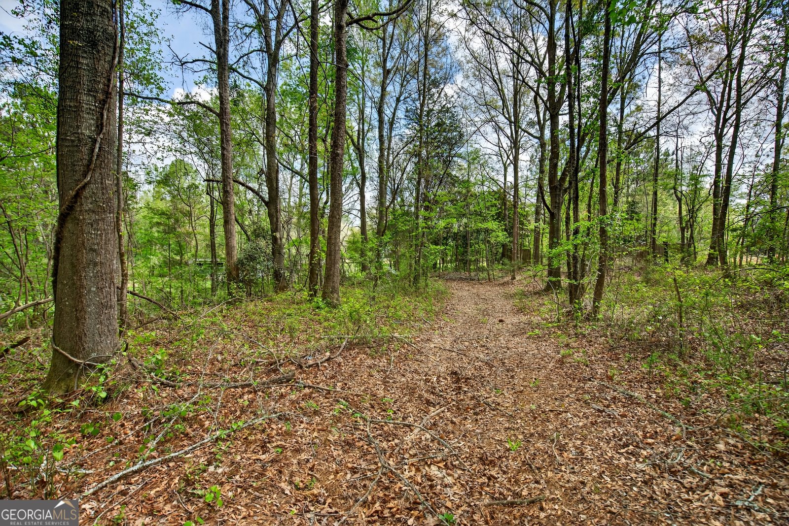7142 Hamilton Road Pine Mountain - Photo 43