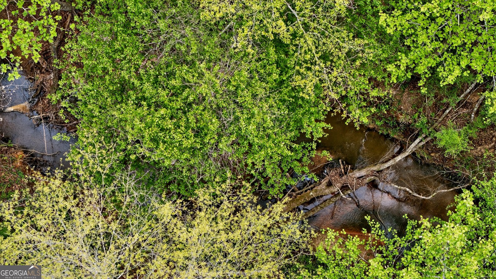 7142 Hamilton Road Pine Mountain - Photo 54