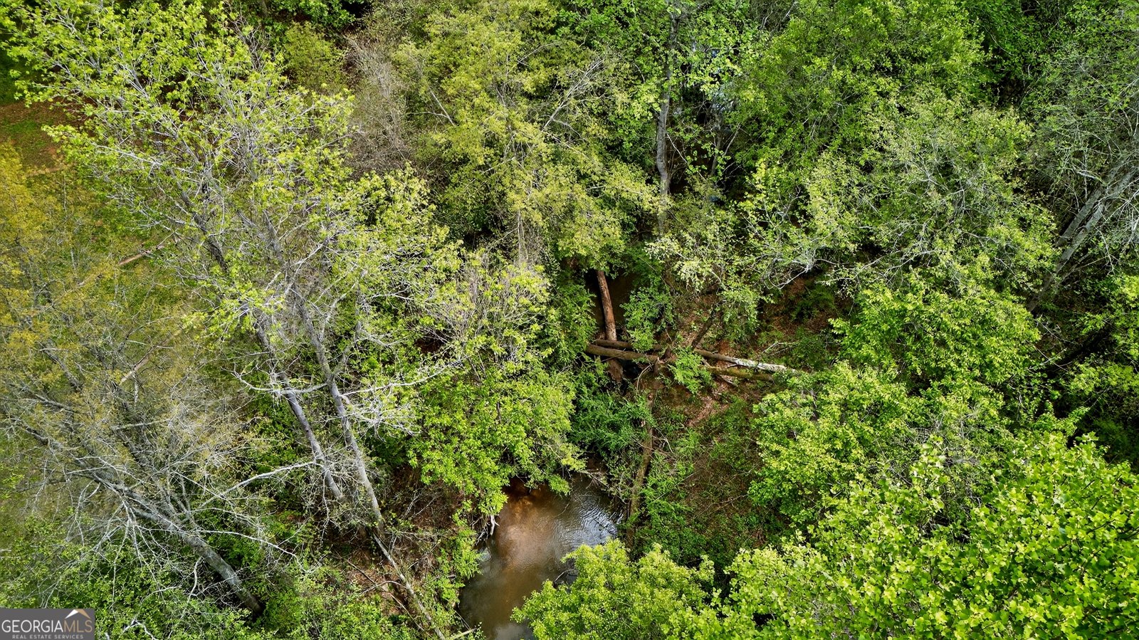 7142 Hamilton Road Pine Mountain - Photo 55