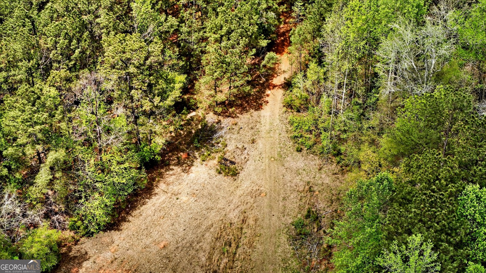 7142 Hamilton Road Pine Mountain - Photo 57