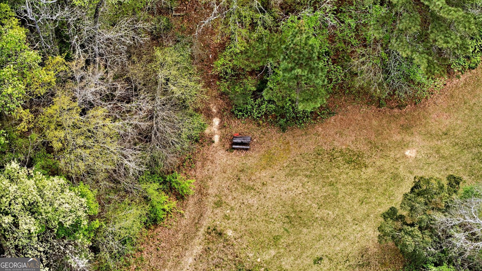 7142 Hamilton Road Pine Mountain - Photo 58