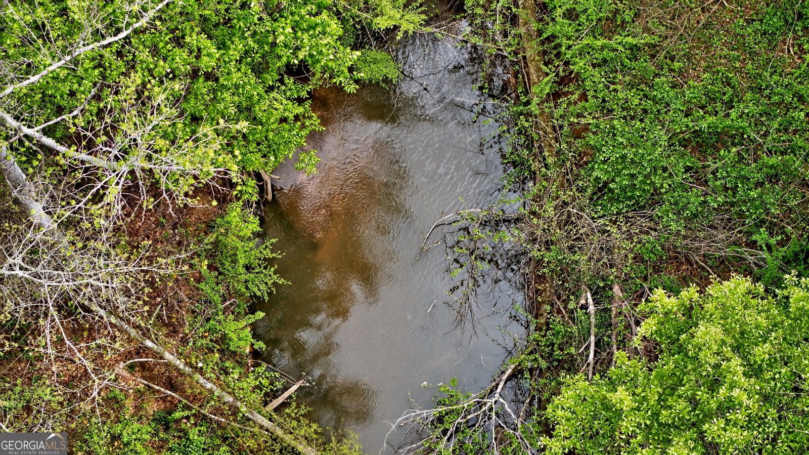 7142 Hamilton Road Pine Mountain - Photo 60