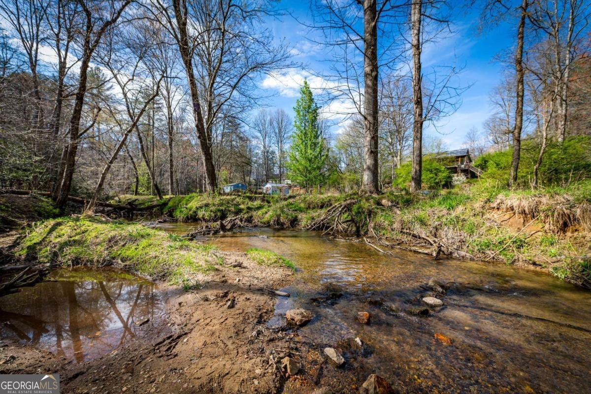 127 Twin Creeks Road Blue Ridge - Photo 65