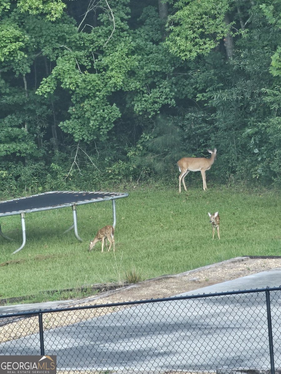 641 Hunter Road Douglasville - Photo 74