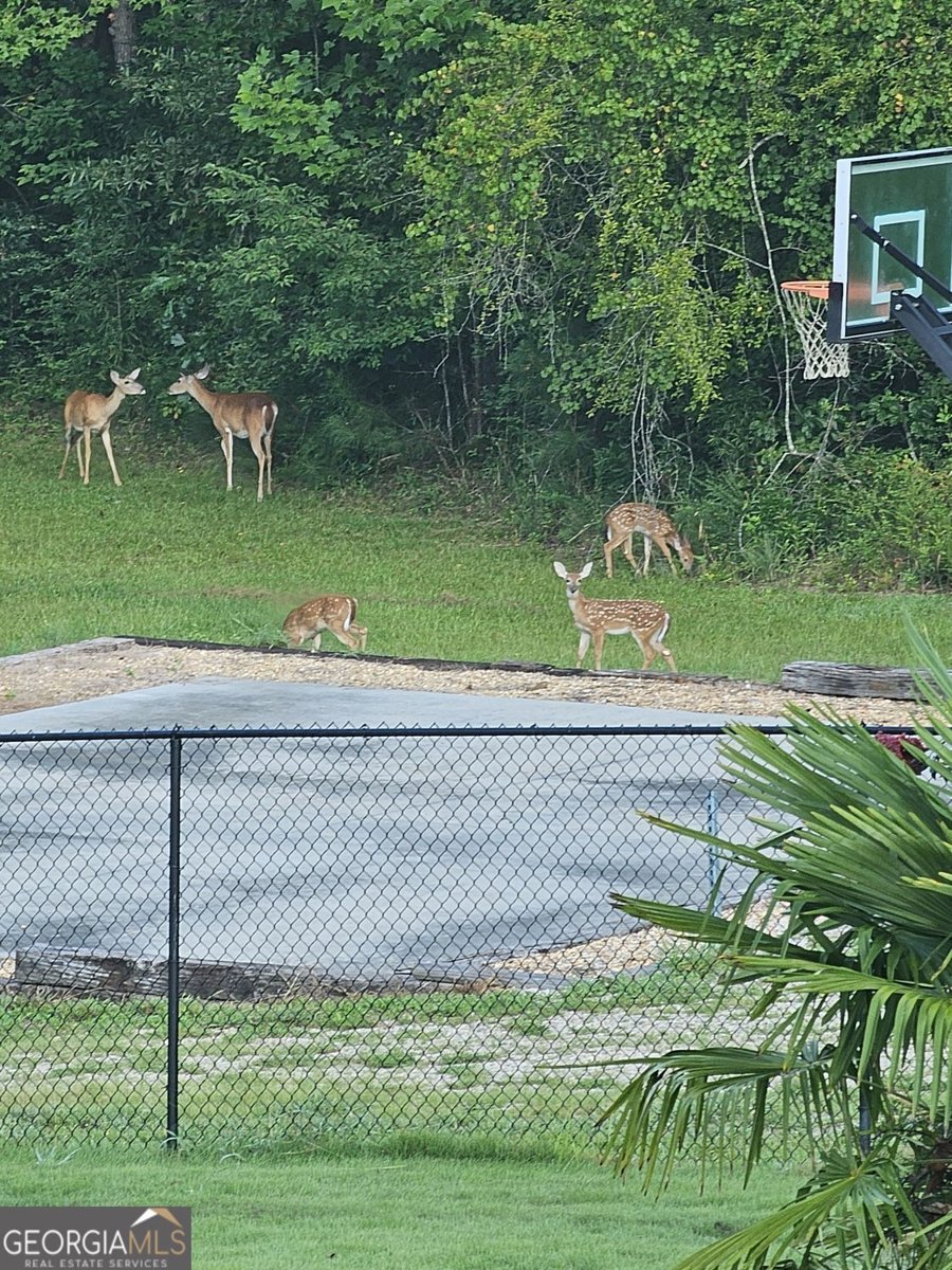 641 Hunter Road Douglasville - Photo 75