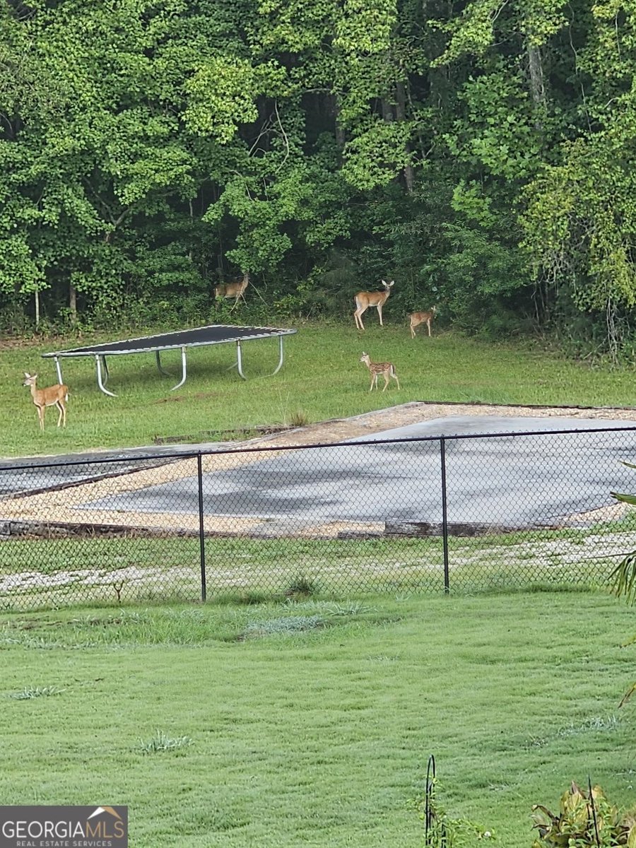 641 Hunter Road Douglasville - Photo 76