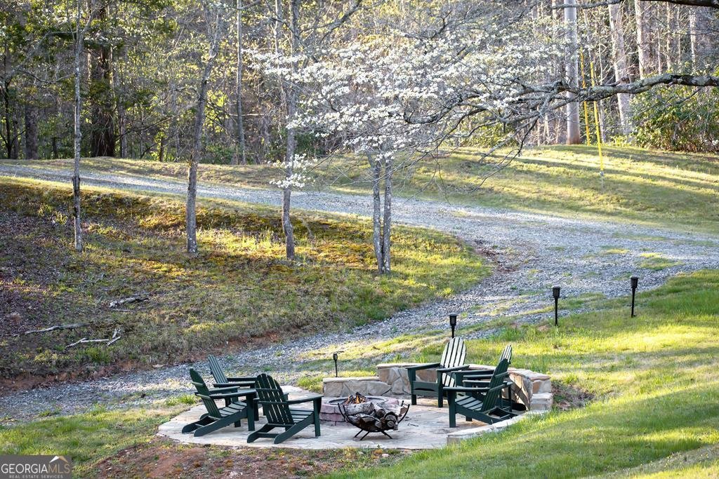 2669 Weaver Creek Road Blue Ridge - Photo 11