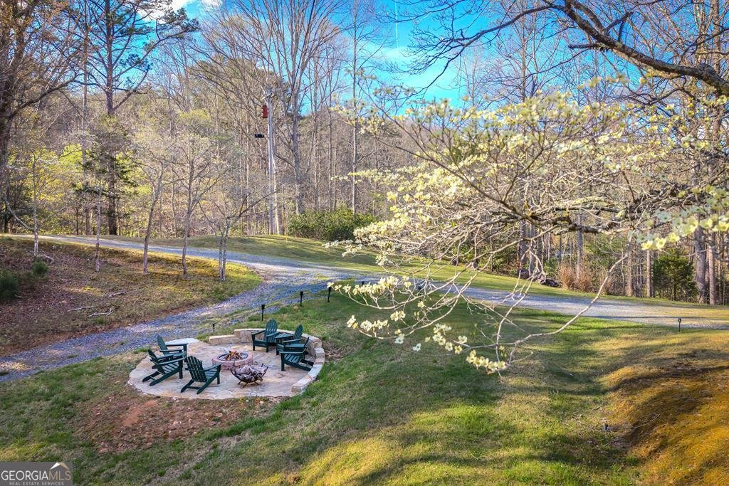 2669 Weaver Creek Road Blue Ridge - Photo 44