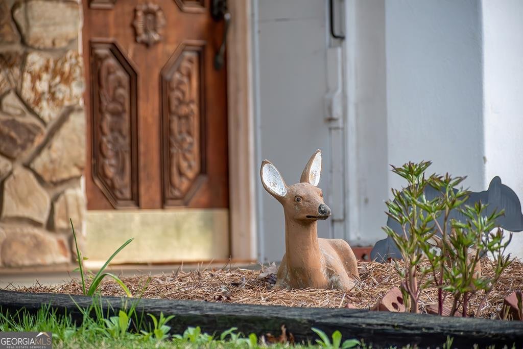 2669 Weaver Creek Road Blue Ridge - Photo 54