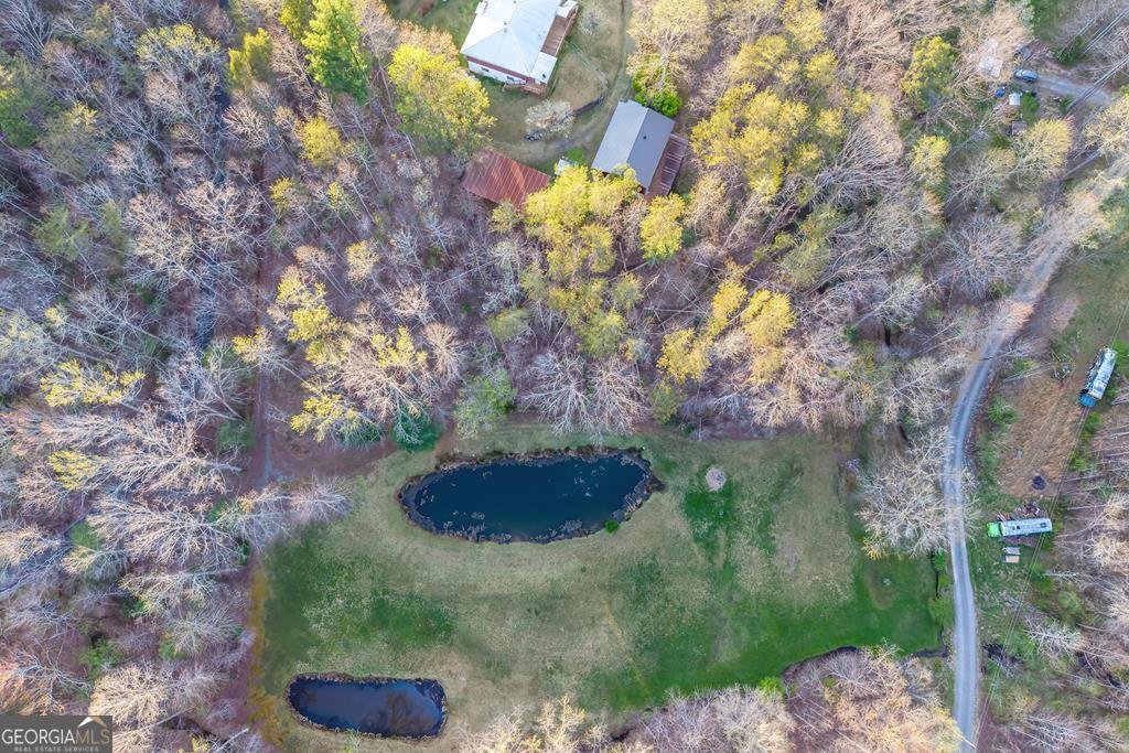 2669 Weaver Creek Road Blue Ridge - Photo 65