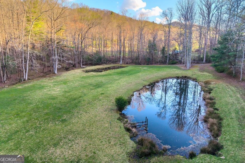 2669 Weaver Creek Road Blue Ridge - Photo 66