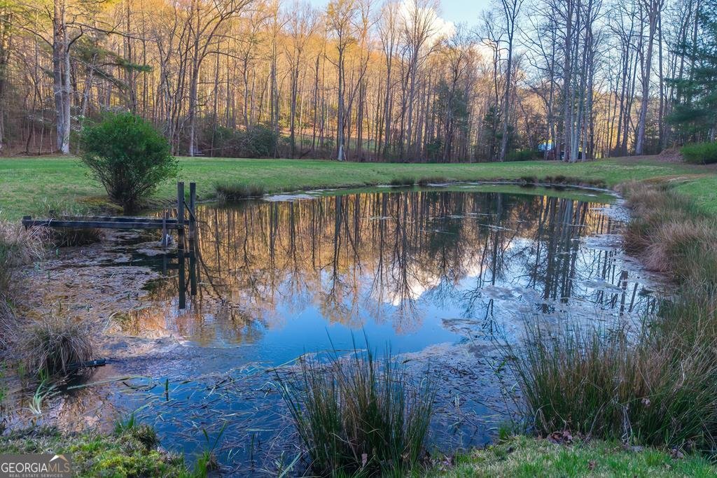 2669 Weaver Creek Road Blue Ridge - Photo 67