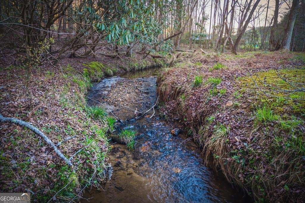 2669 Weaver Creek Road Blue Ridge - Photo 68