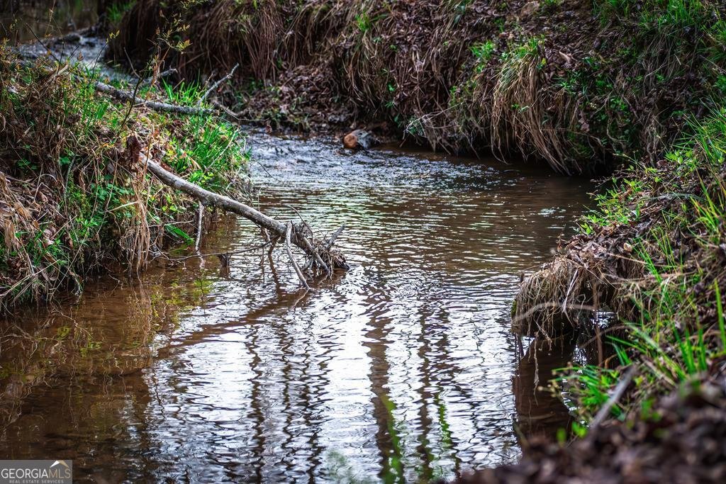 2669 Weaver Creek Road Blue Ridge - Photo 69