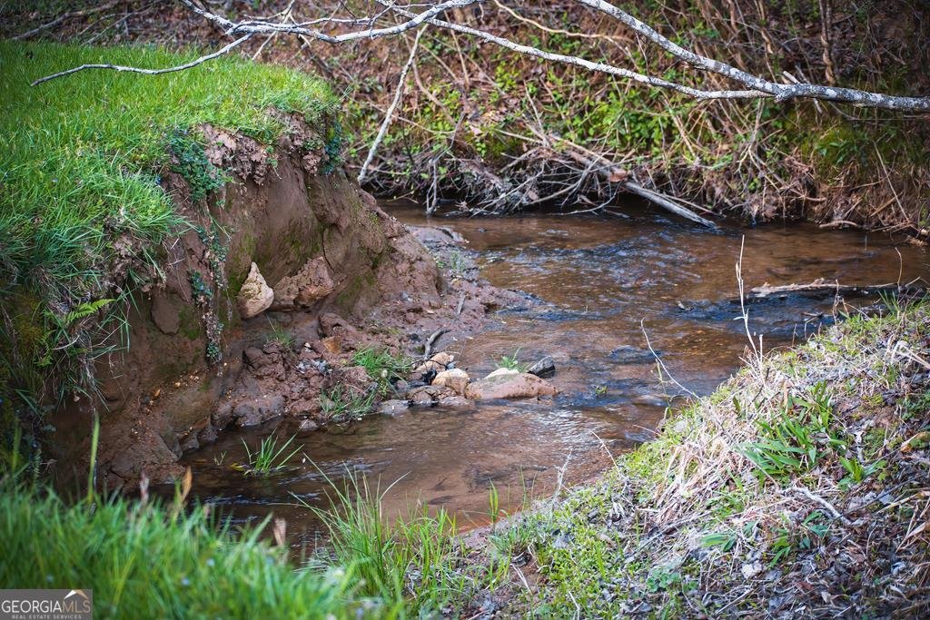 2669 Weaver Creek Road Blue Ridge - Photo 70