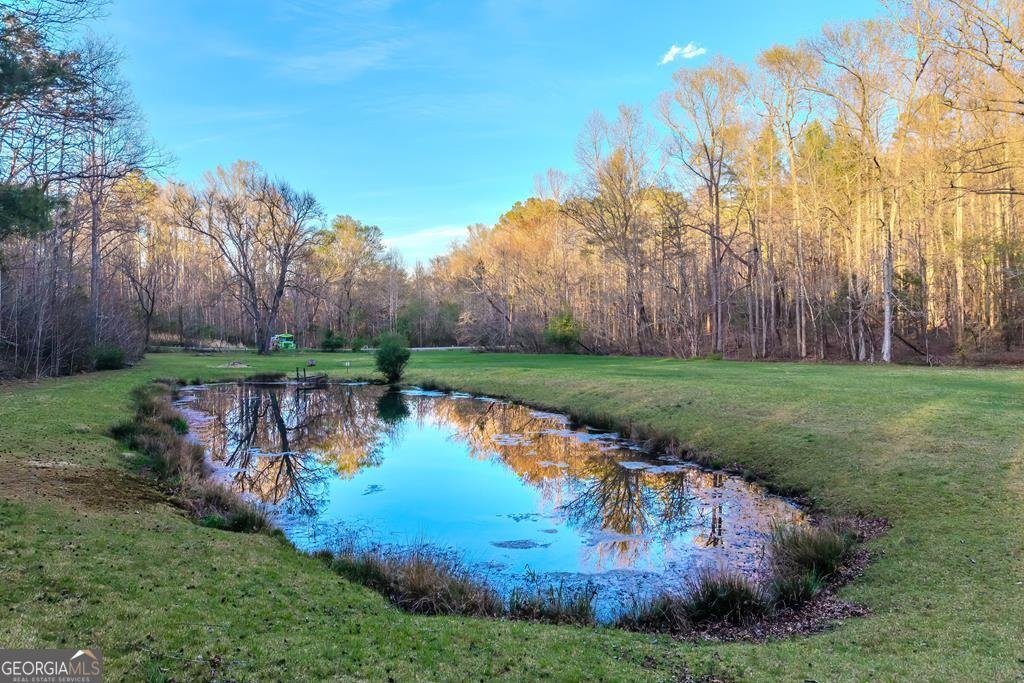 2669 Weaver Creek Road Blue Ridge - Photo 71