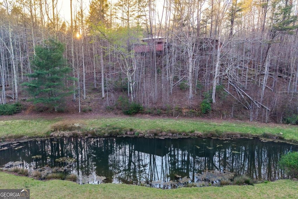 2669 Weaver Creek Road Blue Ridge - Photo 73