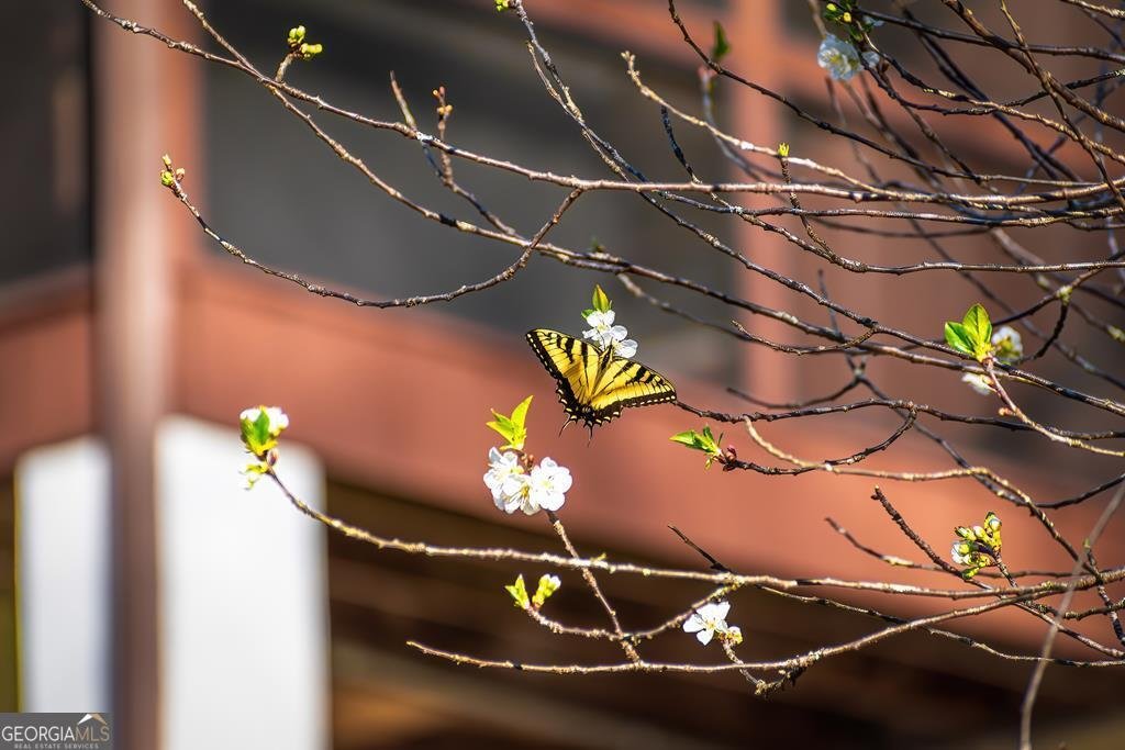 2669 Weaver Creek Road Blue Ridge - Photo 85