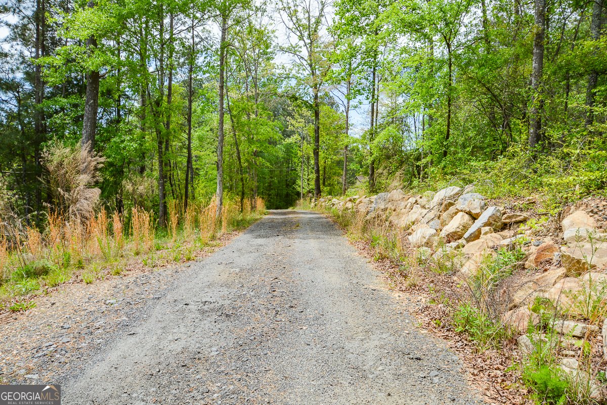 1839 Tibbitts Road Dallas - Photo 7