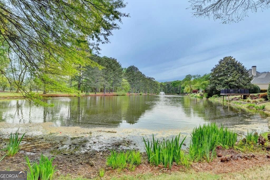 9260 Saint Georgen Common Johns Creek - Photo 82