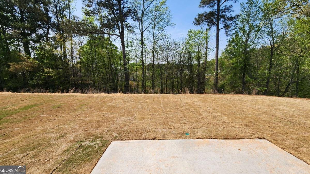 104 Silverleaf Trail Bethlehem - Photo 30