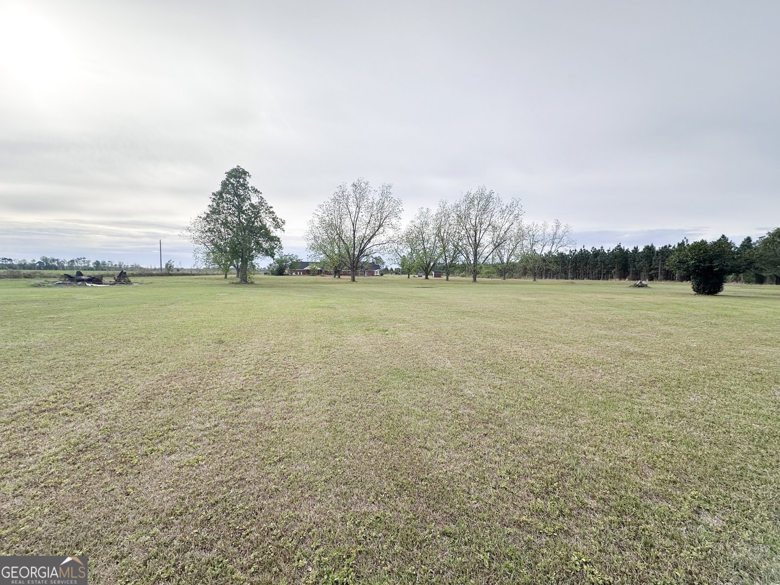 657 GA Hwy 147 Reidsville - Photo 21