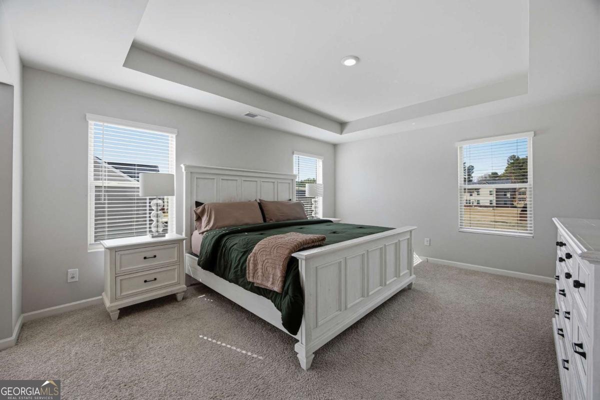 933 Nandina Lane Loganville - Photo 18