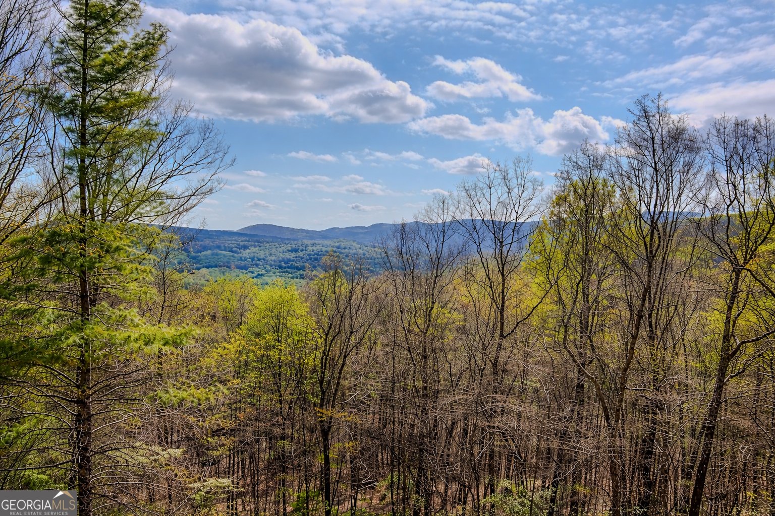 156 Sky High Drive Ellijay - Photo 6