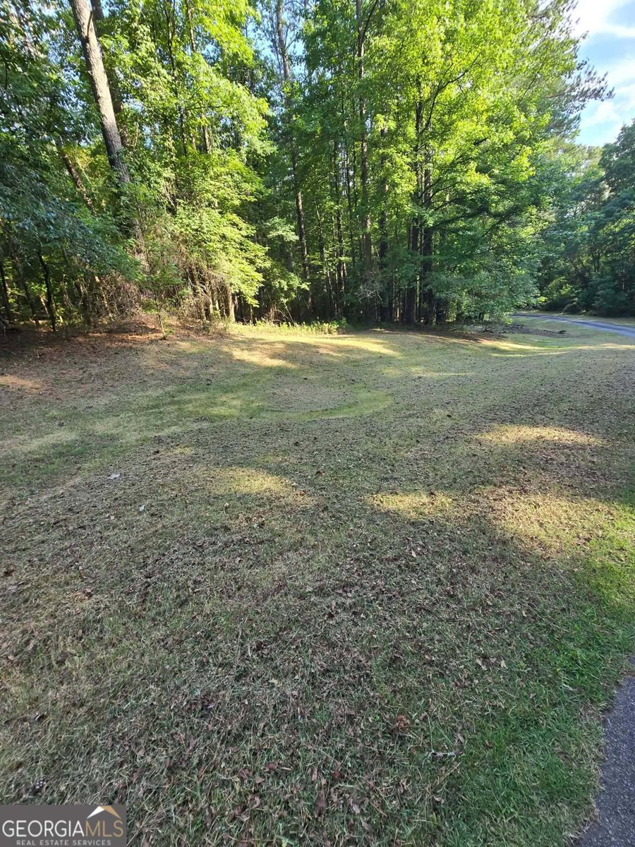 1501 Aiken Chafin Lane McDonough - Photo 46