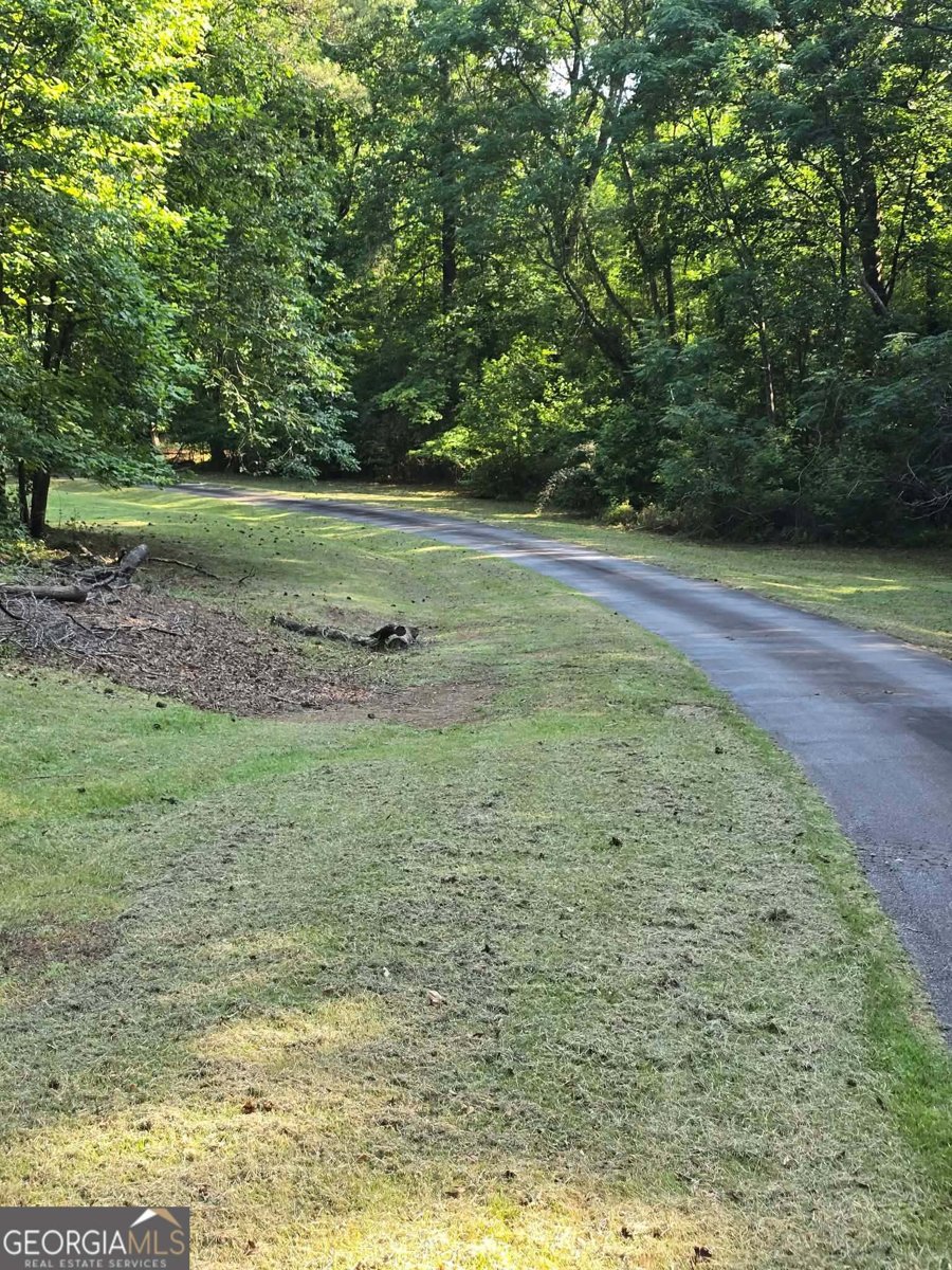 1501 Aiken Chafin Lane McDonough - Photo 48
