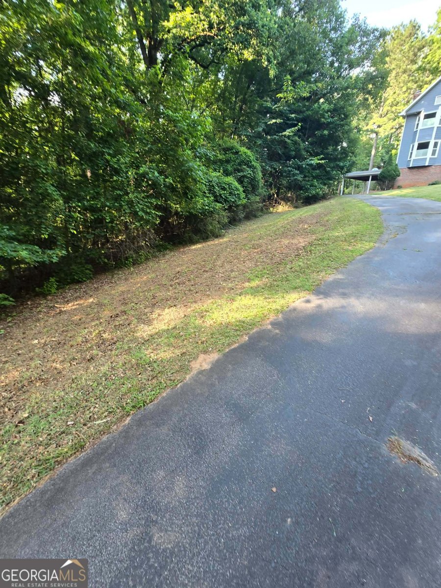 1501 Aiken Chafin Lane McDonough - Photo 49