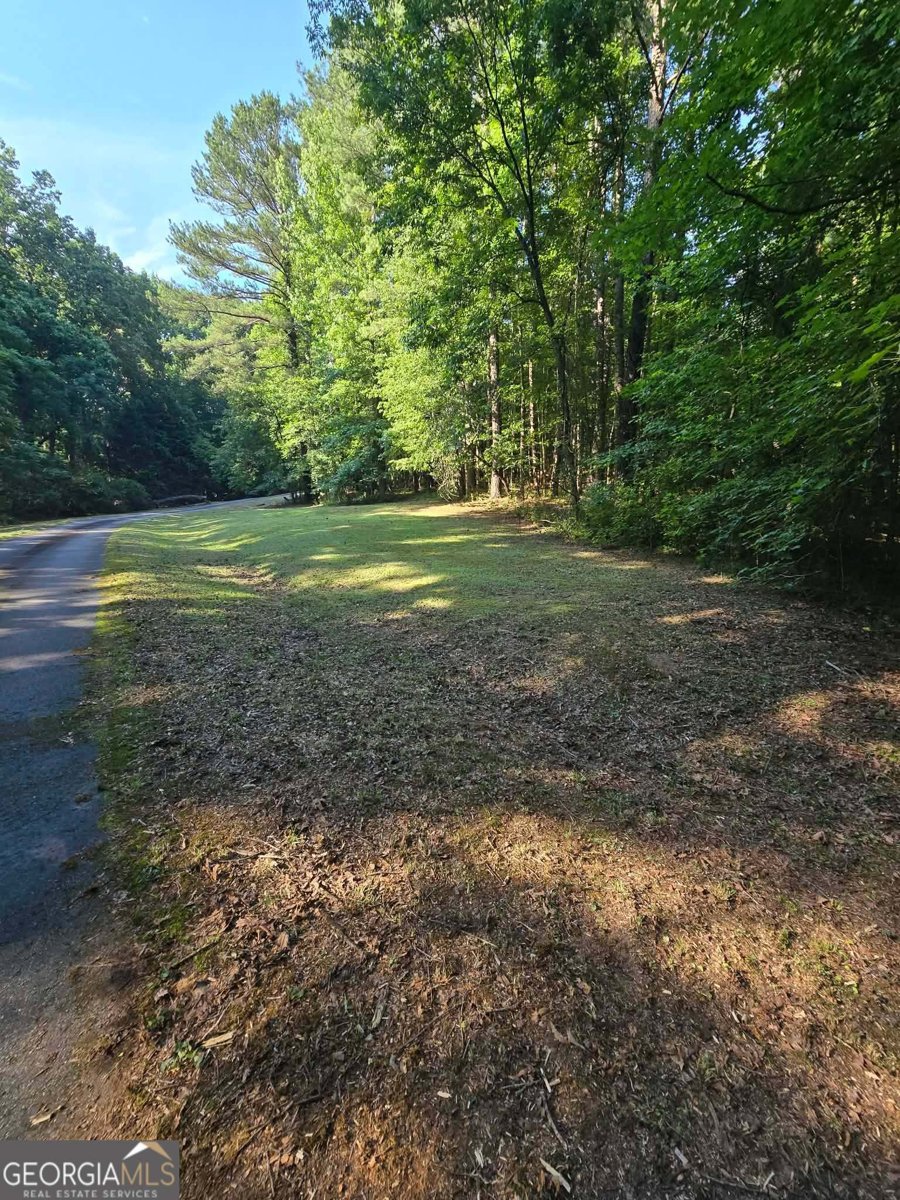 1501 Aiken Chafin Lane McDonough - Photo 50