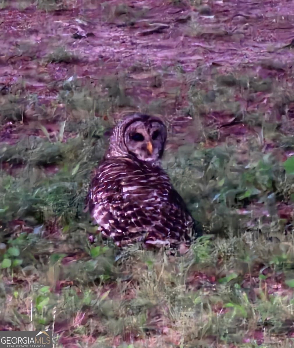 127 Bolingview Road Juliette - Photo 38