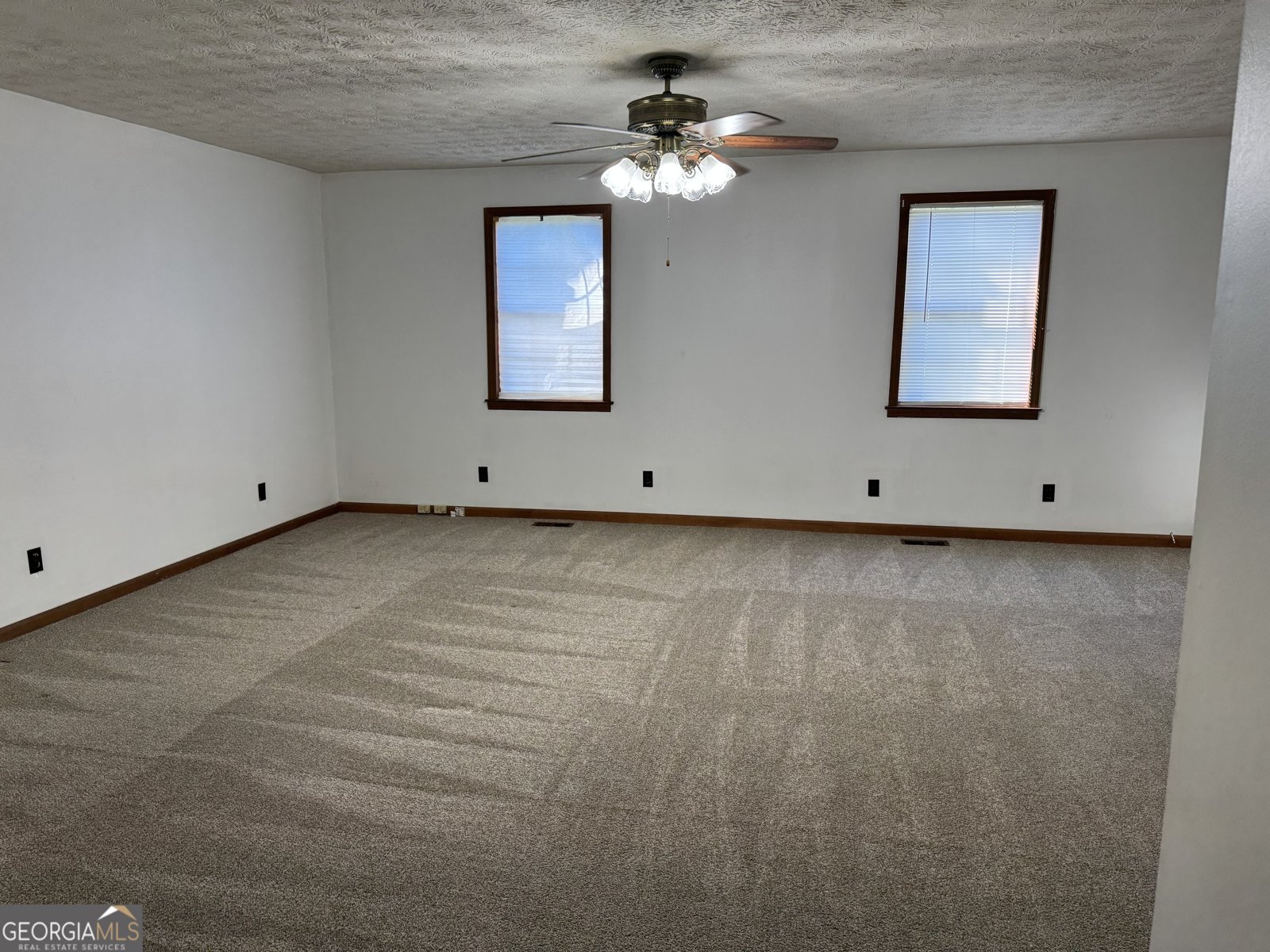 313 Carter St Greenville - Photo 12