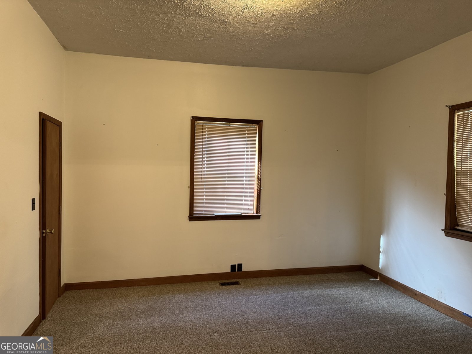 313 Carter St Greenville - Photo 6