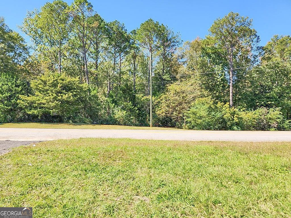 797 Gabbettville Road Lagrange - Photo 15