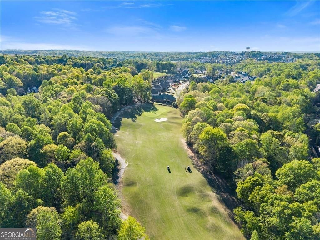 5811 Yoshino Cherry Lane Braselton - Photo 100