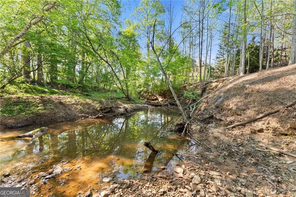 5811 Yoshino Cherry Lane Braselton - Photo 83