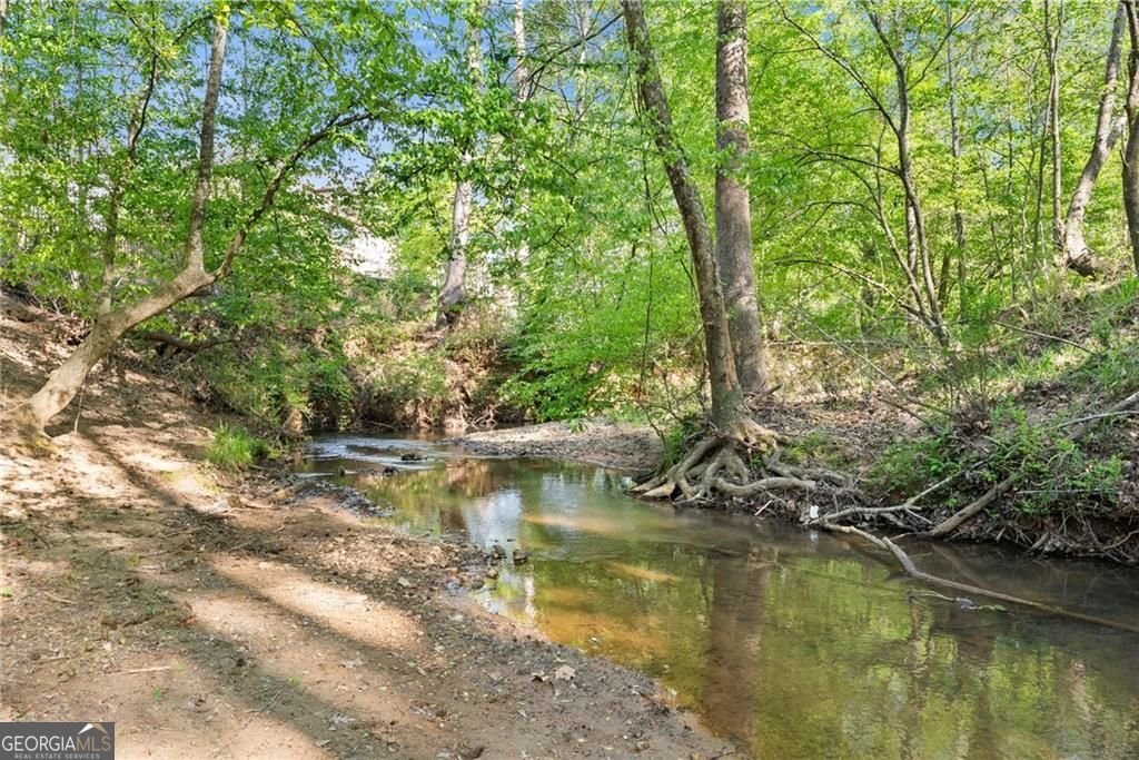 5811 Yoshino Cherry Lane Braselton - Photo 84