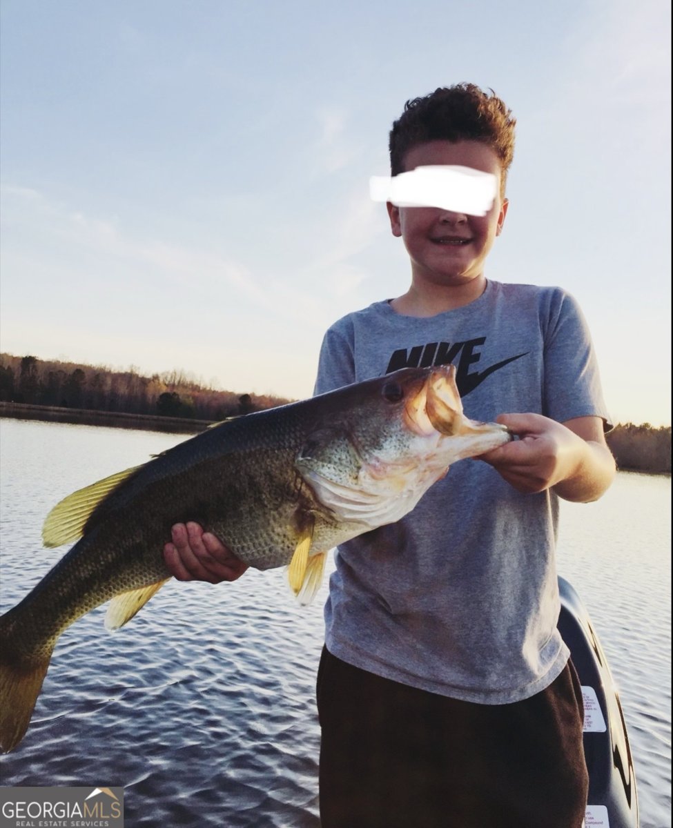 800 Watering Hole Pass Williamson - Photo 87