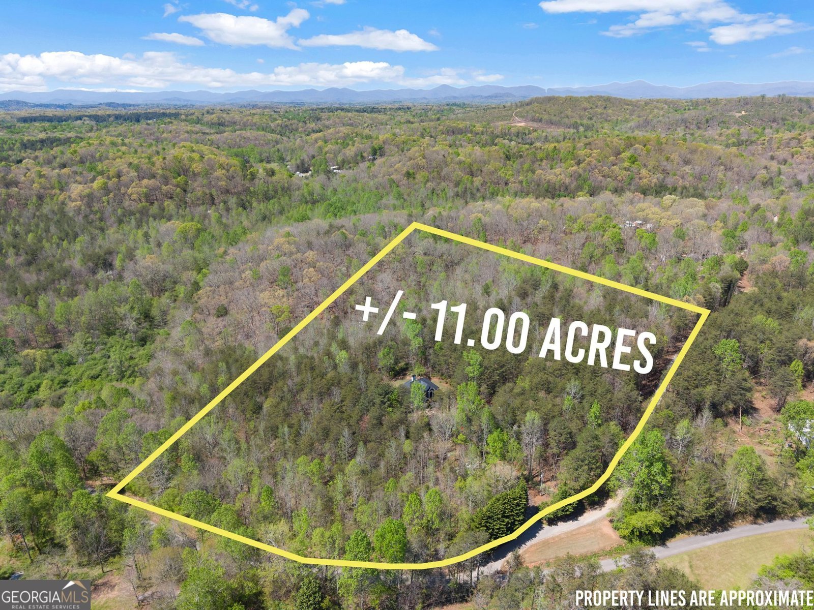 219 John Garner Road Dahlonega - Photo 10